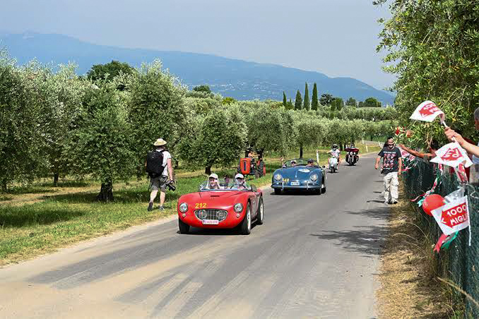A red 1950s barchetta leading a small group of cars along an Italian country road lined with olive trees